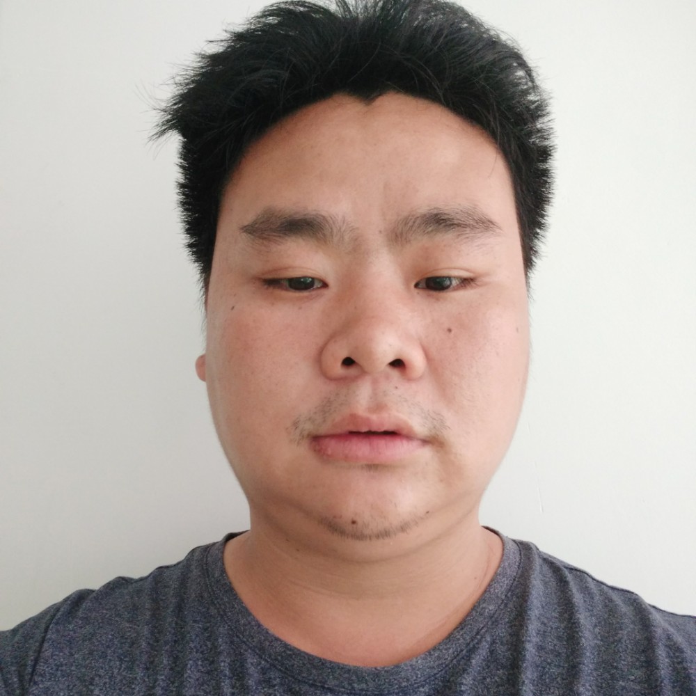 神勇纸鹤的照片