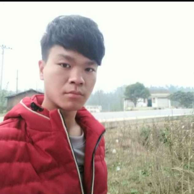黑猫拉长的照片