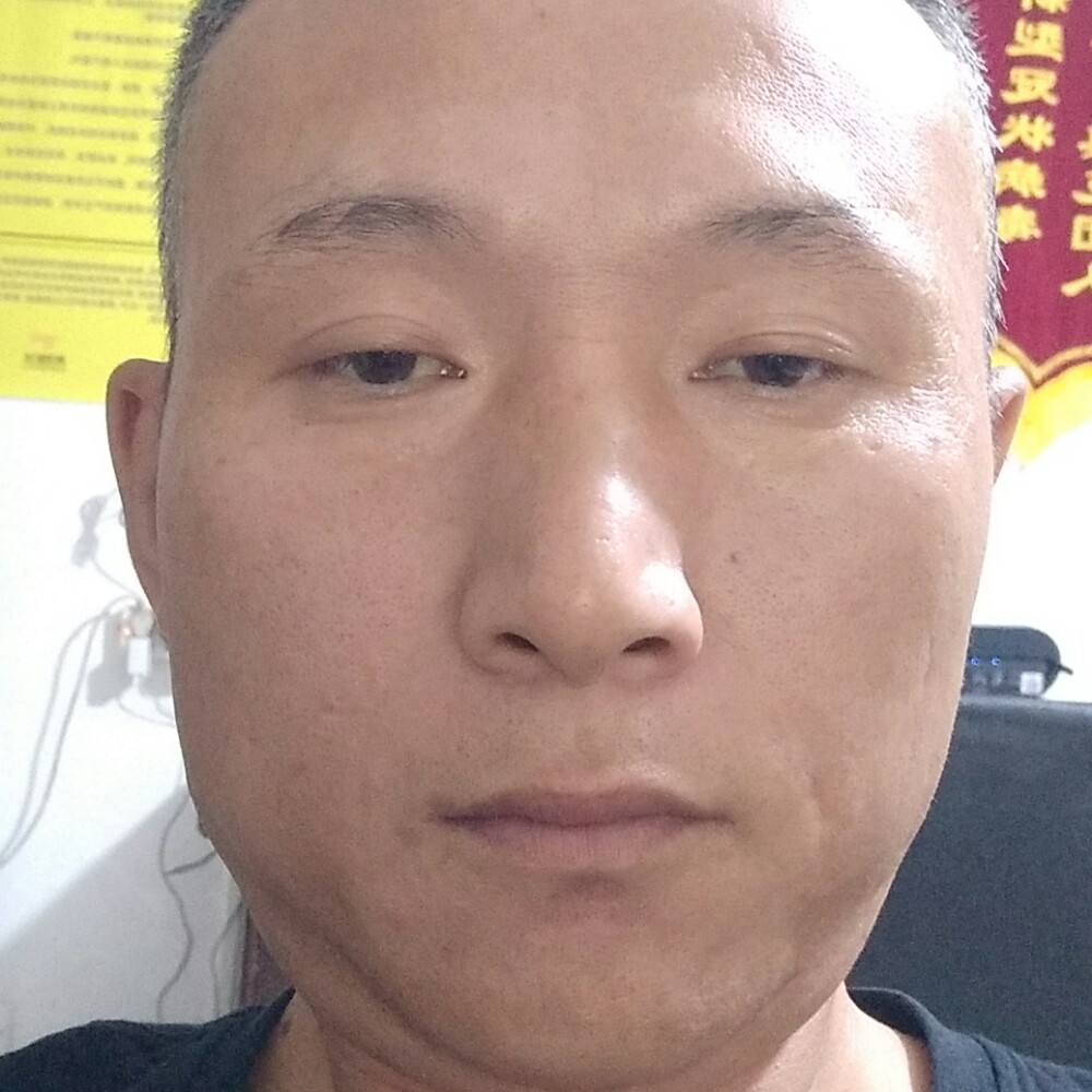 虚心倾心飞鸟的照片