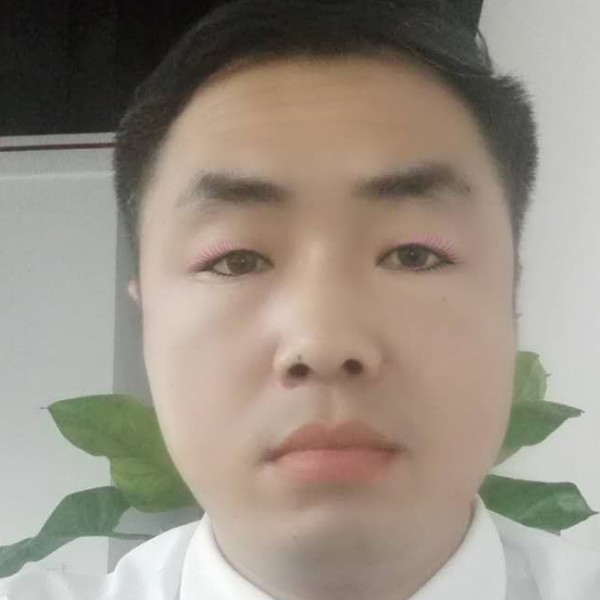 机灵回眸时光的照片