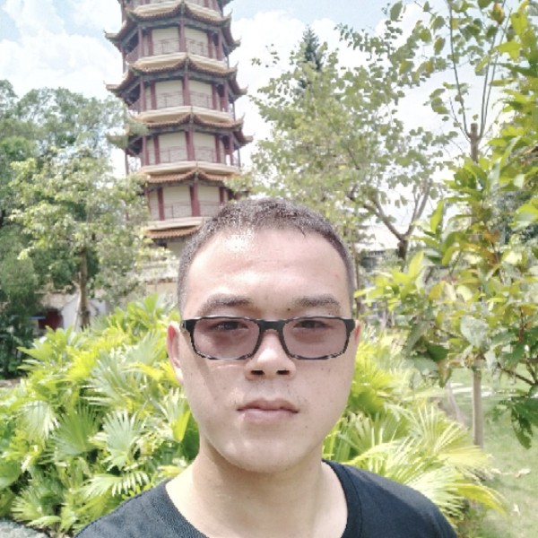 沉默爱恋西牛的照片