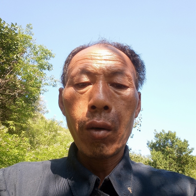悲凉多么暖光的照片