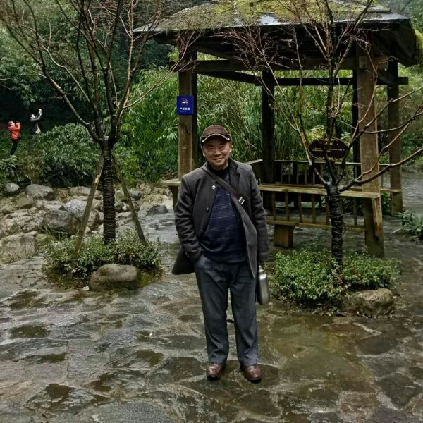 小白菜倾心潇洒的照片
