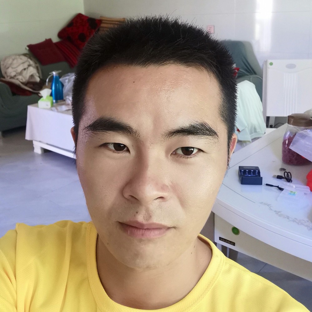 枫叶等于干净的照片