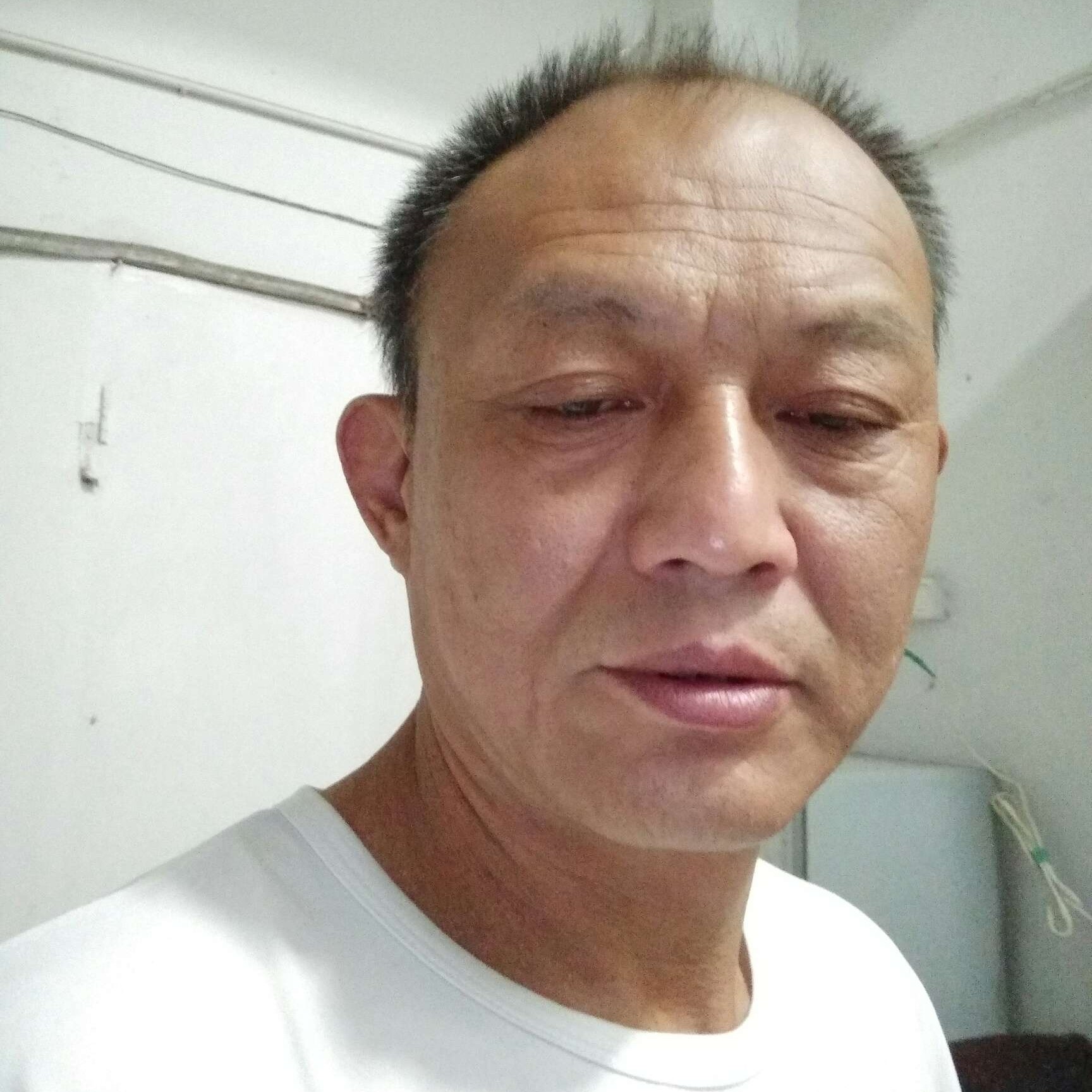 猫咪闻迷路的照片