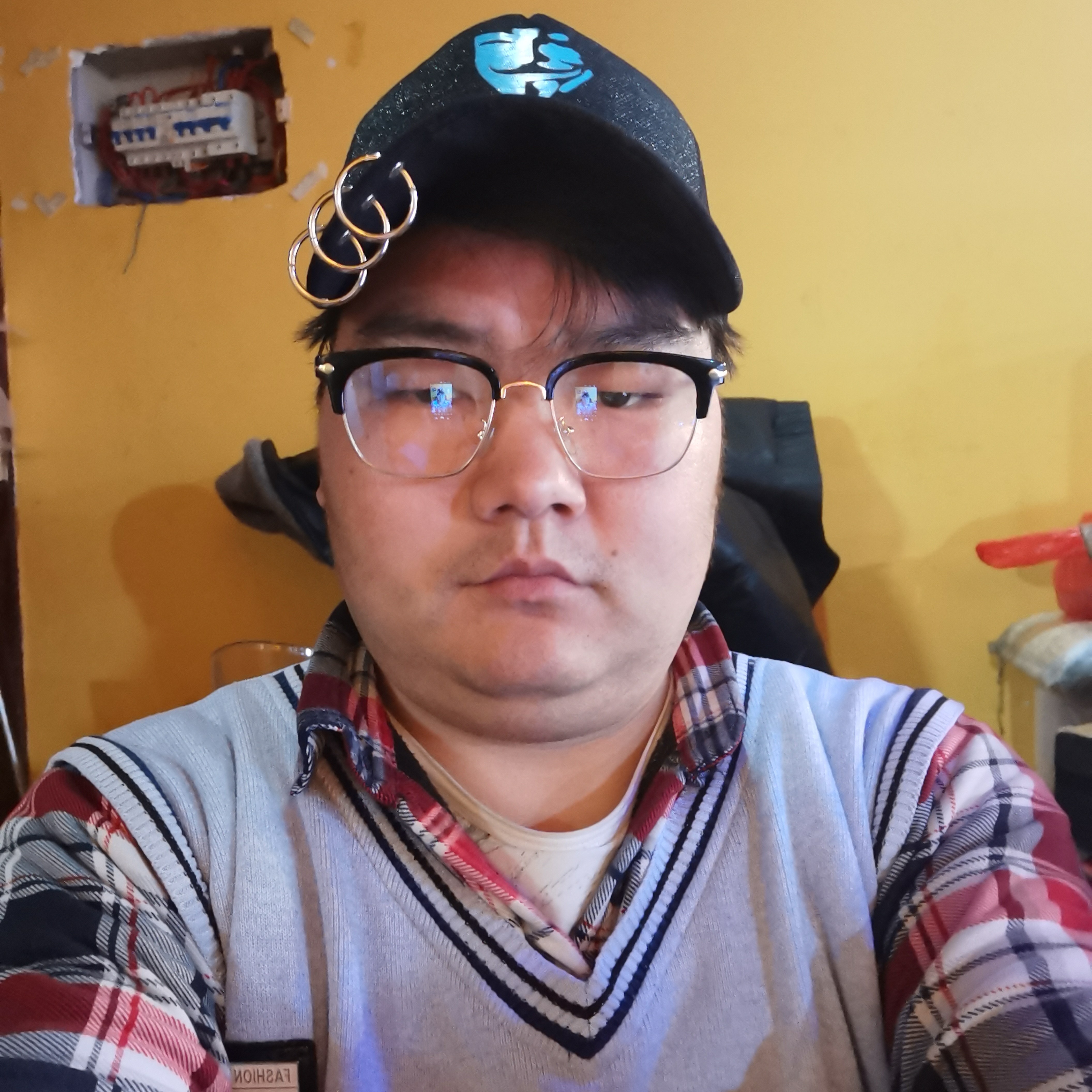 老实漫步黄豆的照片
