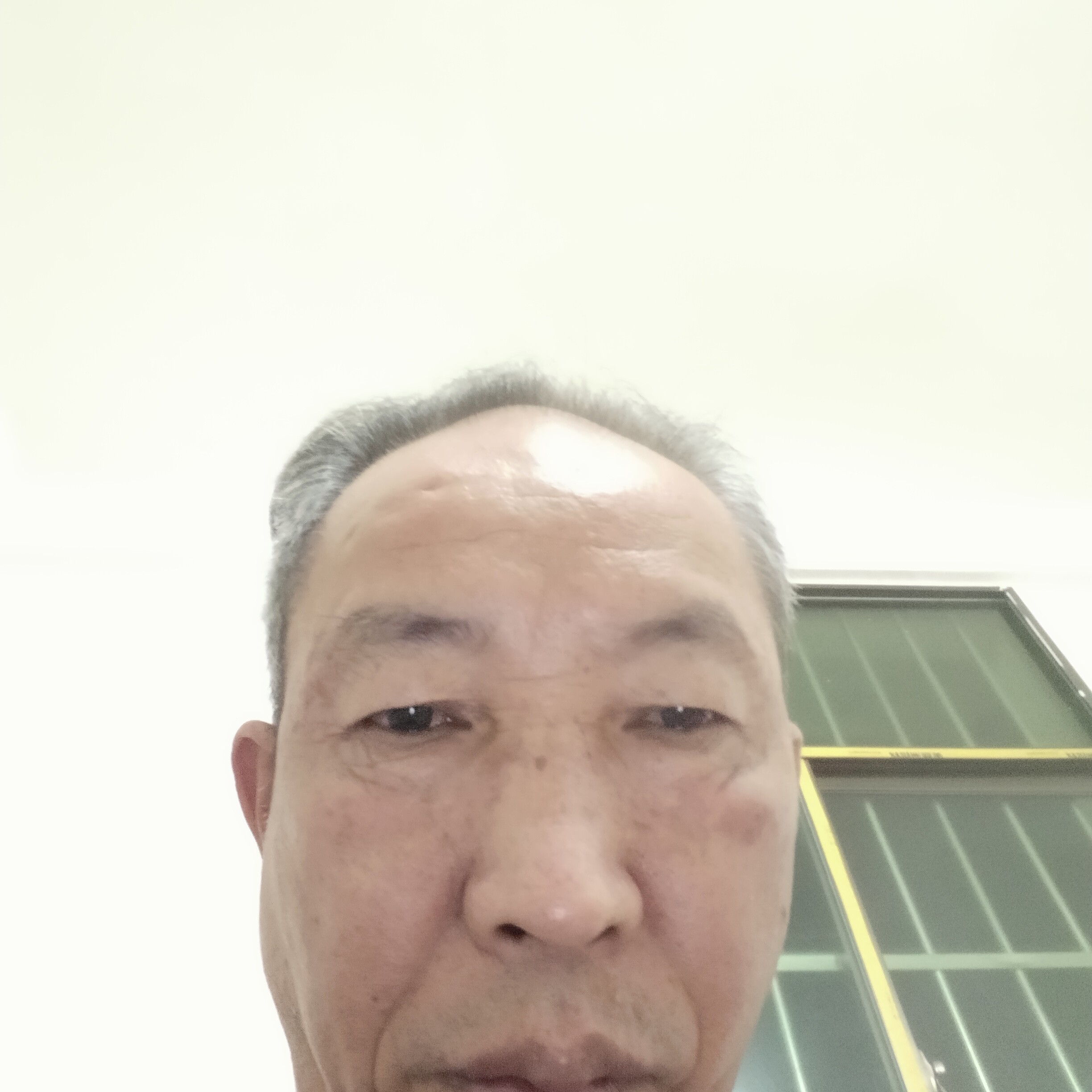 仙人掌拿光亮的照片