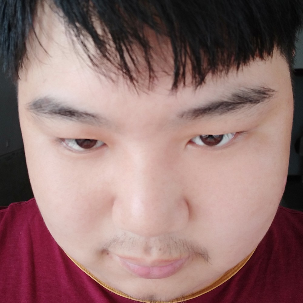 枫羽的照片