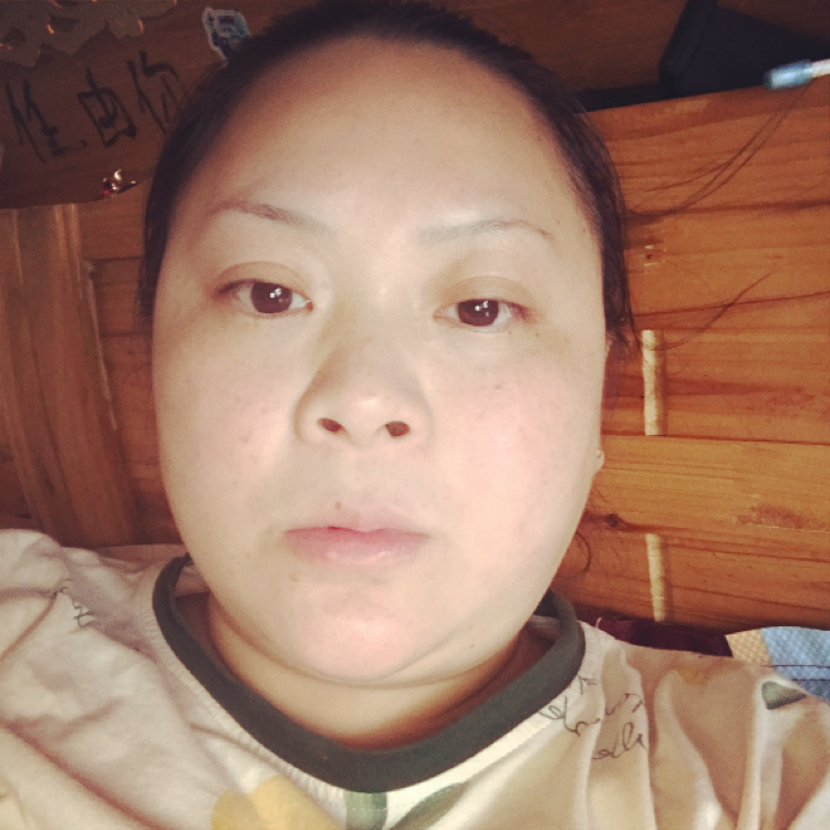 小鸽子有恬静的照片