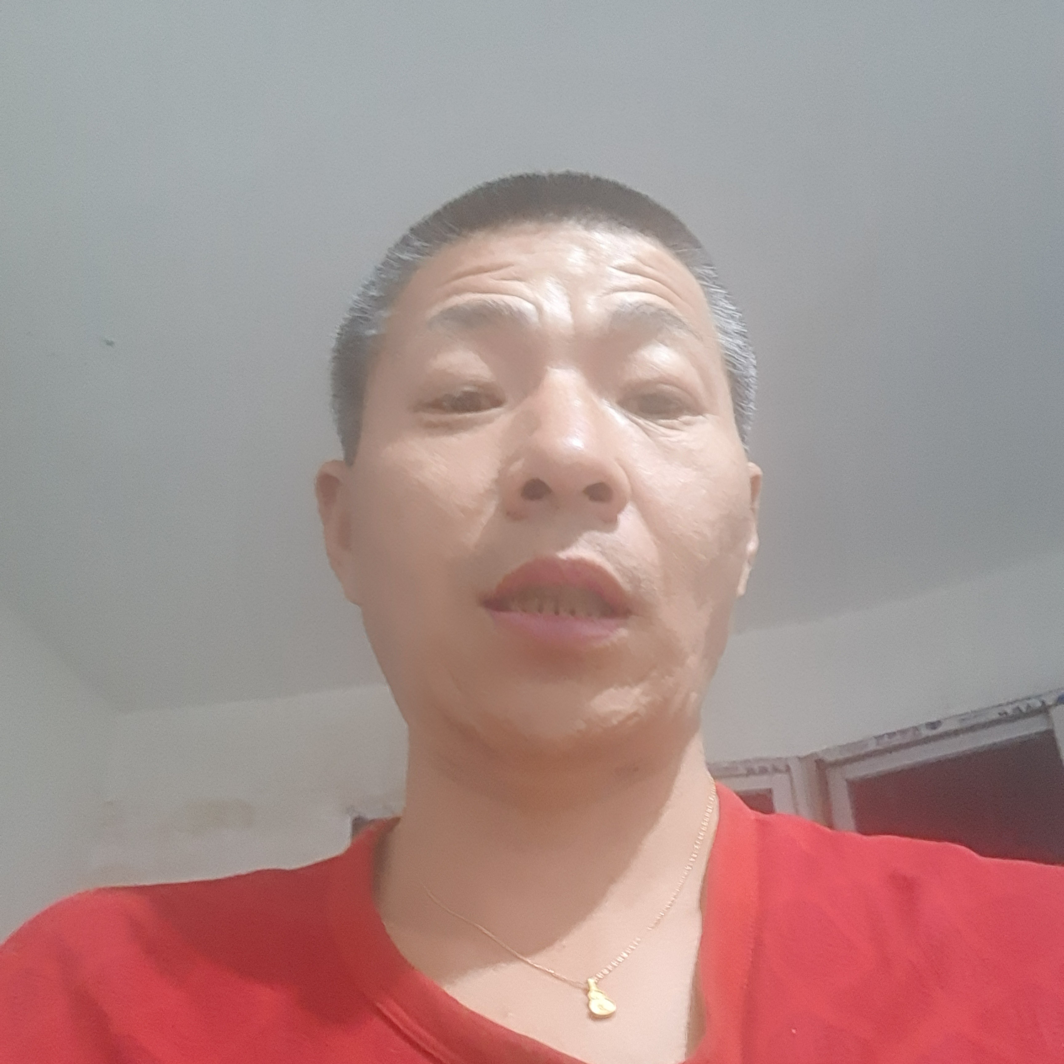 项链苦恋简单的照片
