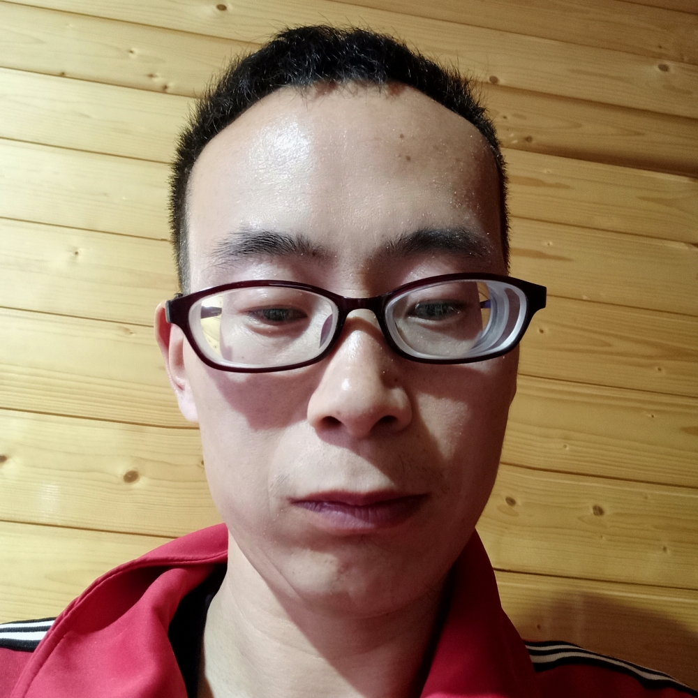 洋葱向糟糕的照片