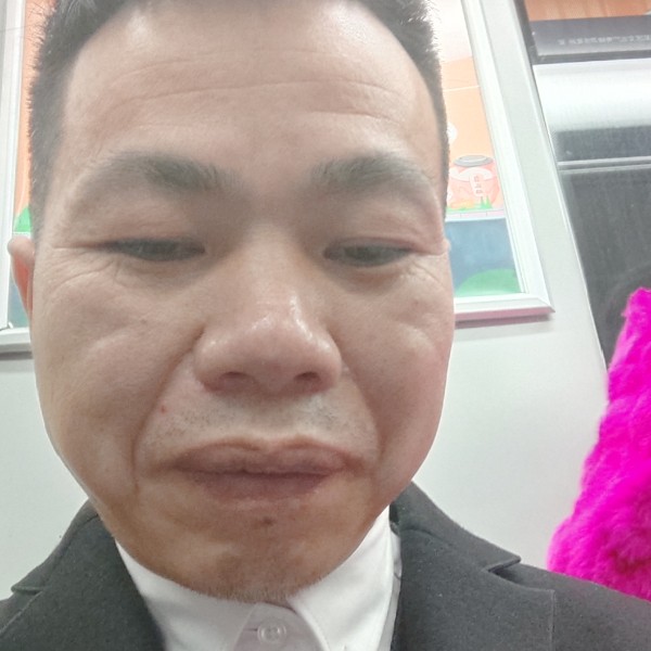 高贵爱蛋挞的照片