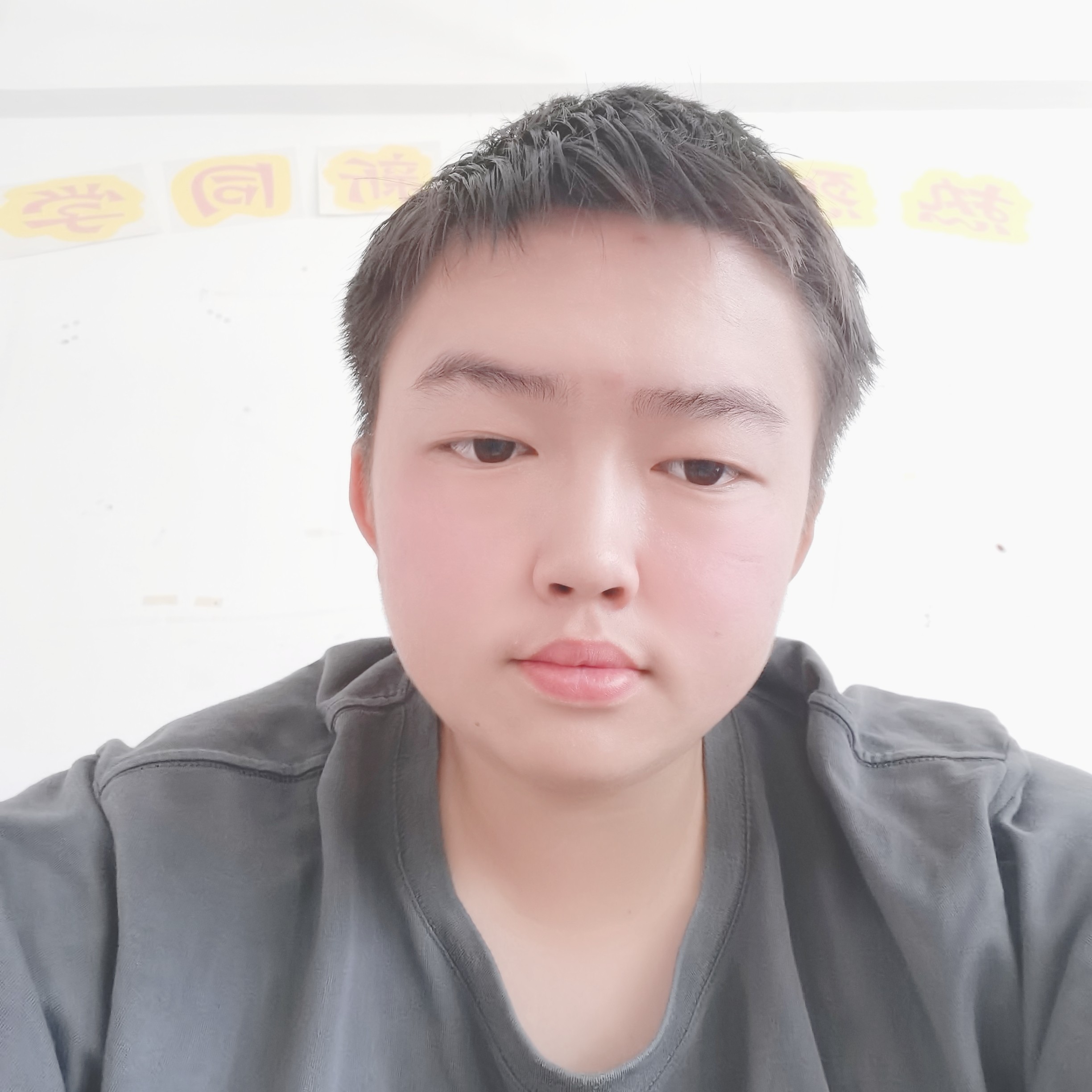 寂灭愿狗的照片