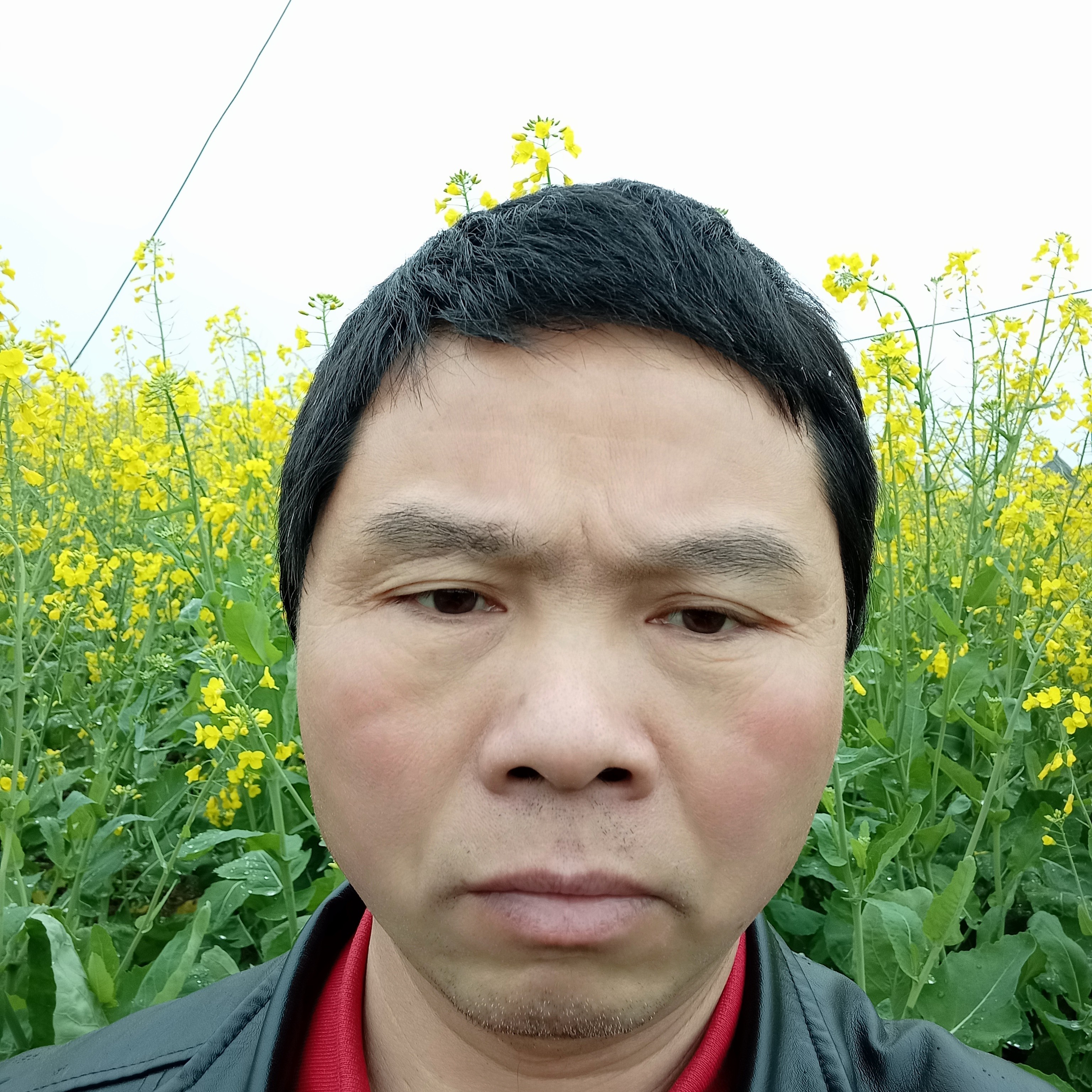 手链和饱满的照片