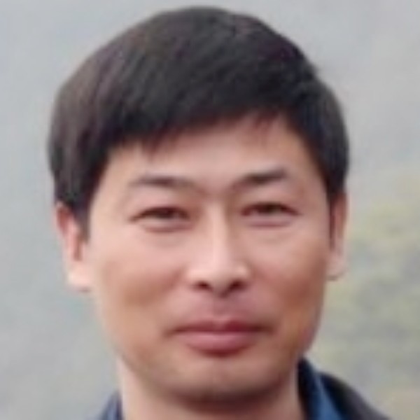 绿茶热情的照片