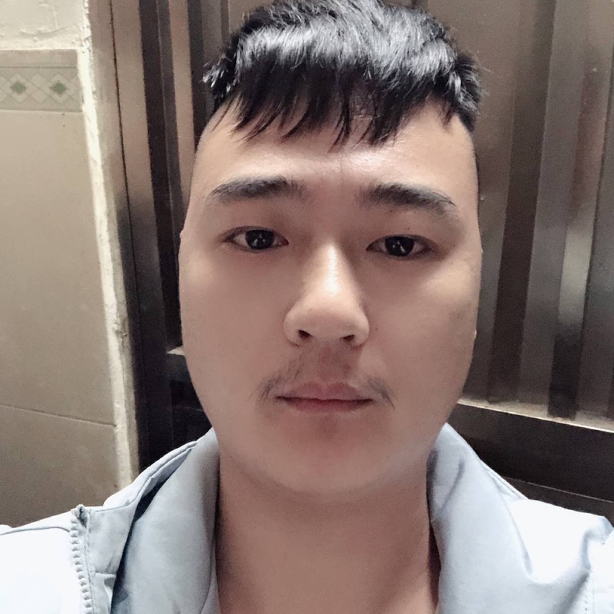 拉长的蚂蚁的照片