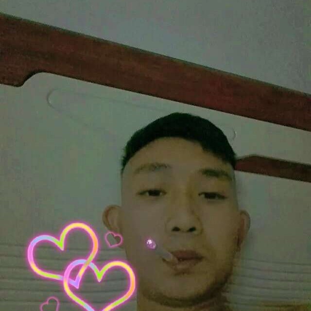 健壮的黑猫的照片