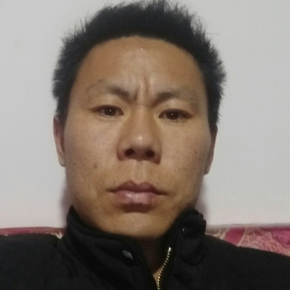 沉默仙人掌的照片