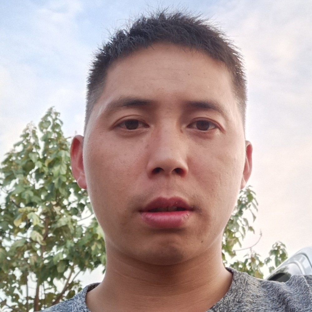 白猫爱恋洁净的照片