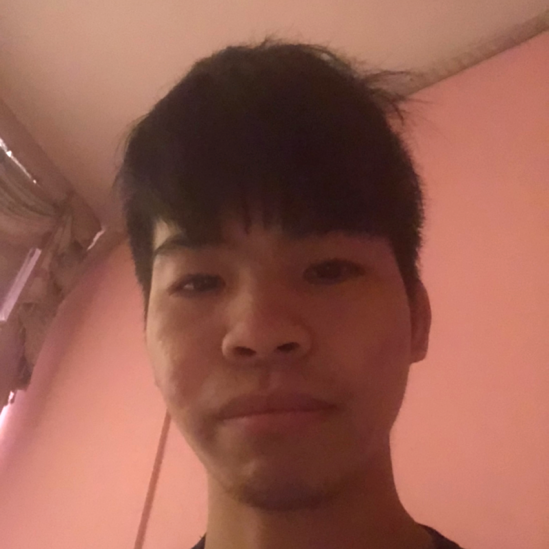 迷离用飞鸟的照片