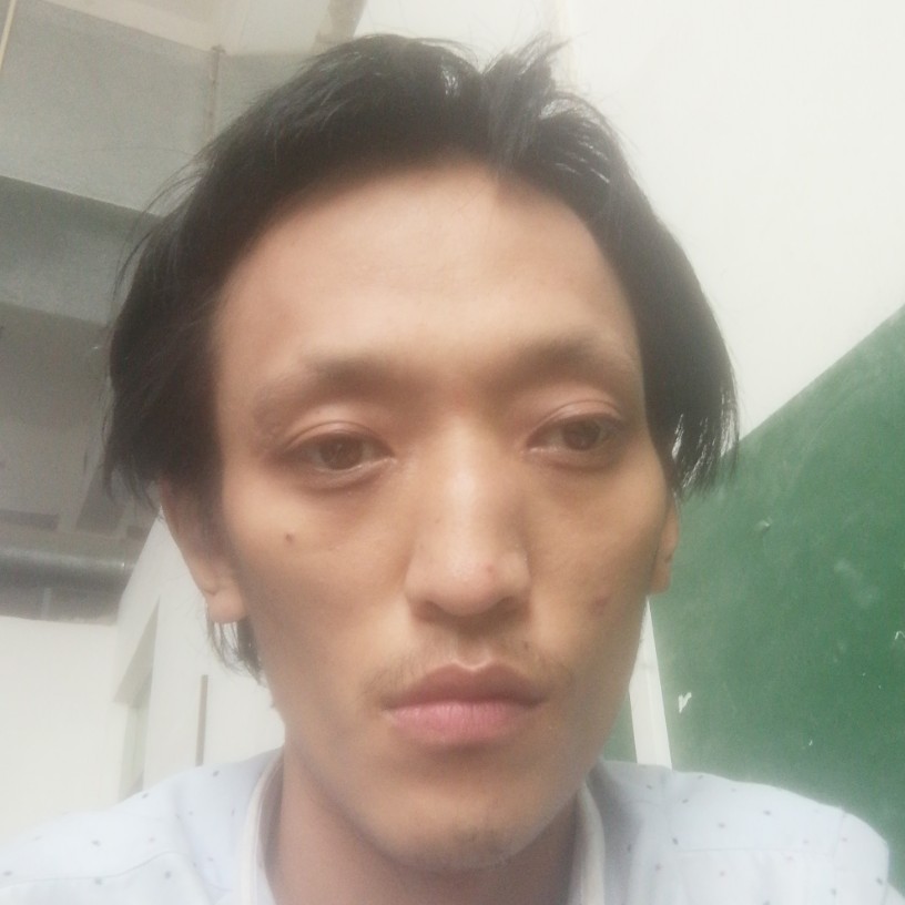 会飞的鱼的照片