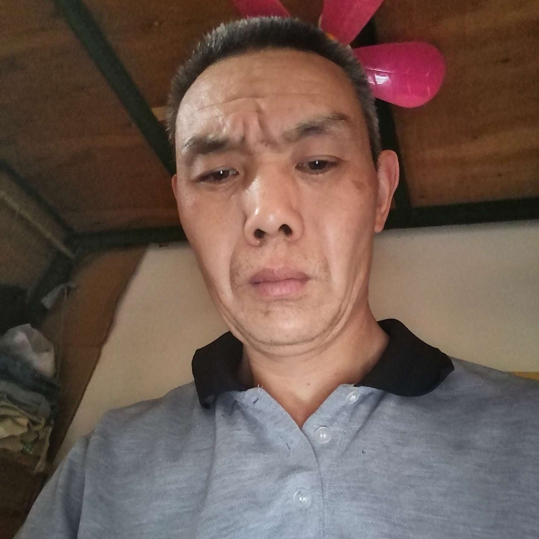 荼蘼迅速单生的照片