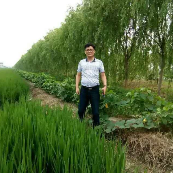 会员028813374的照片