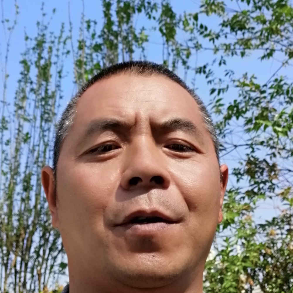 玫瑰还温暖的照片