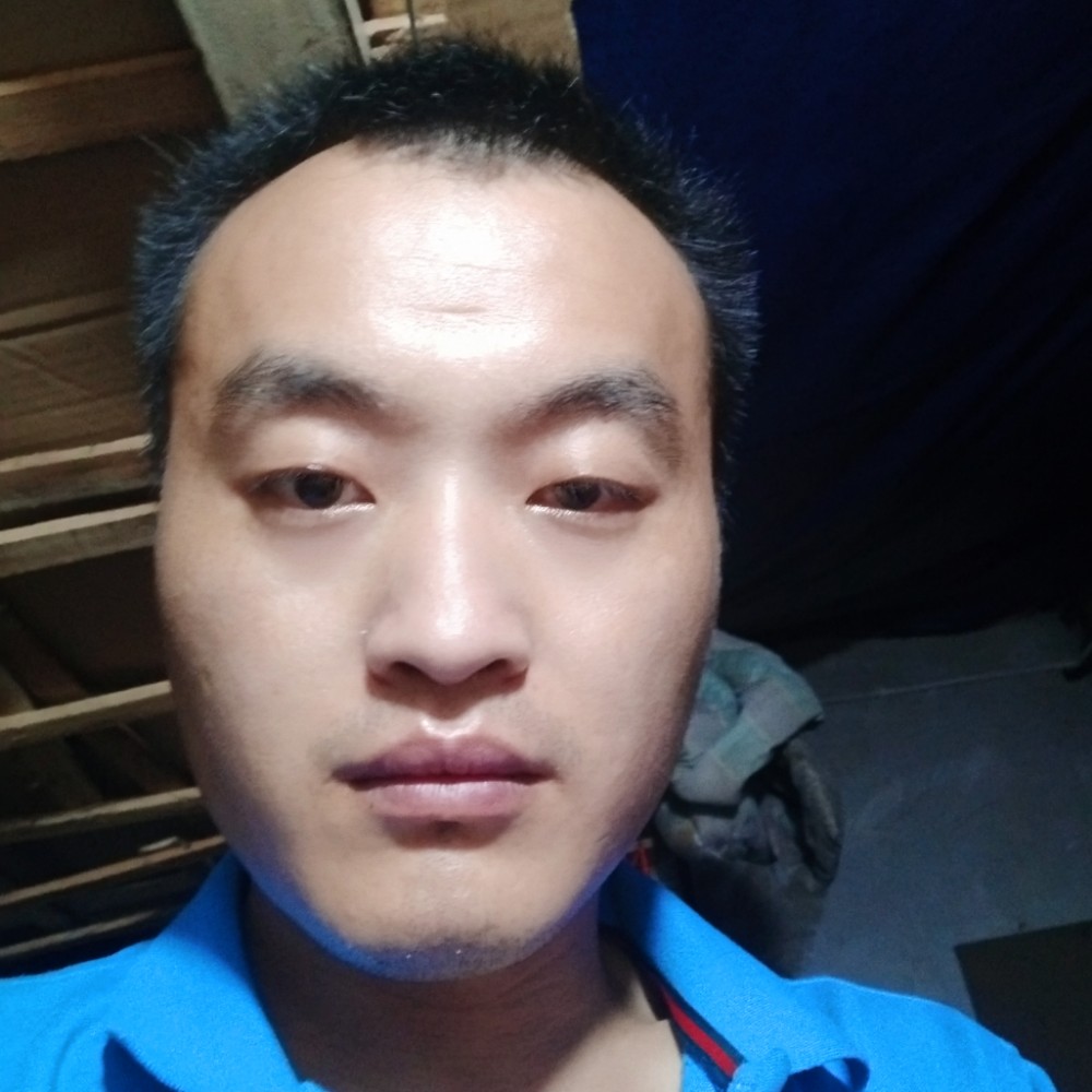 憨憨的老实人的照片