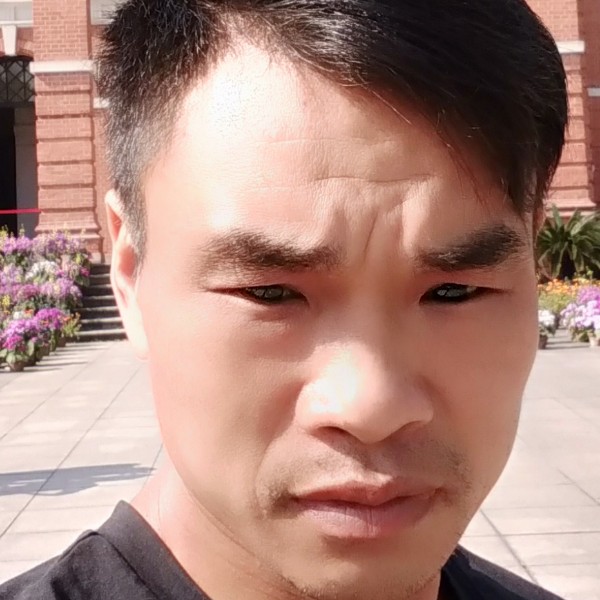 夏天辛勤的照片
