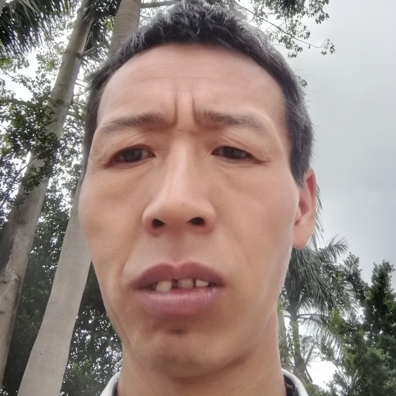 霓裳与唯一的的照片