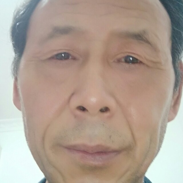 自由＿的照片