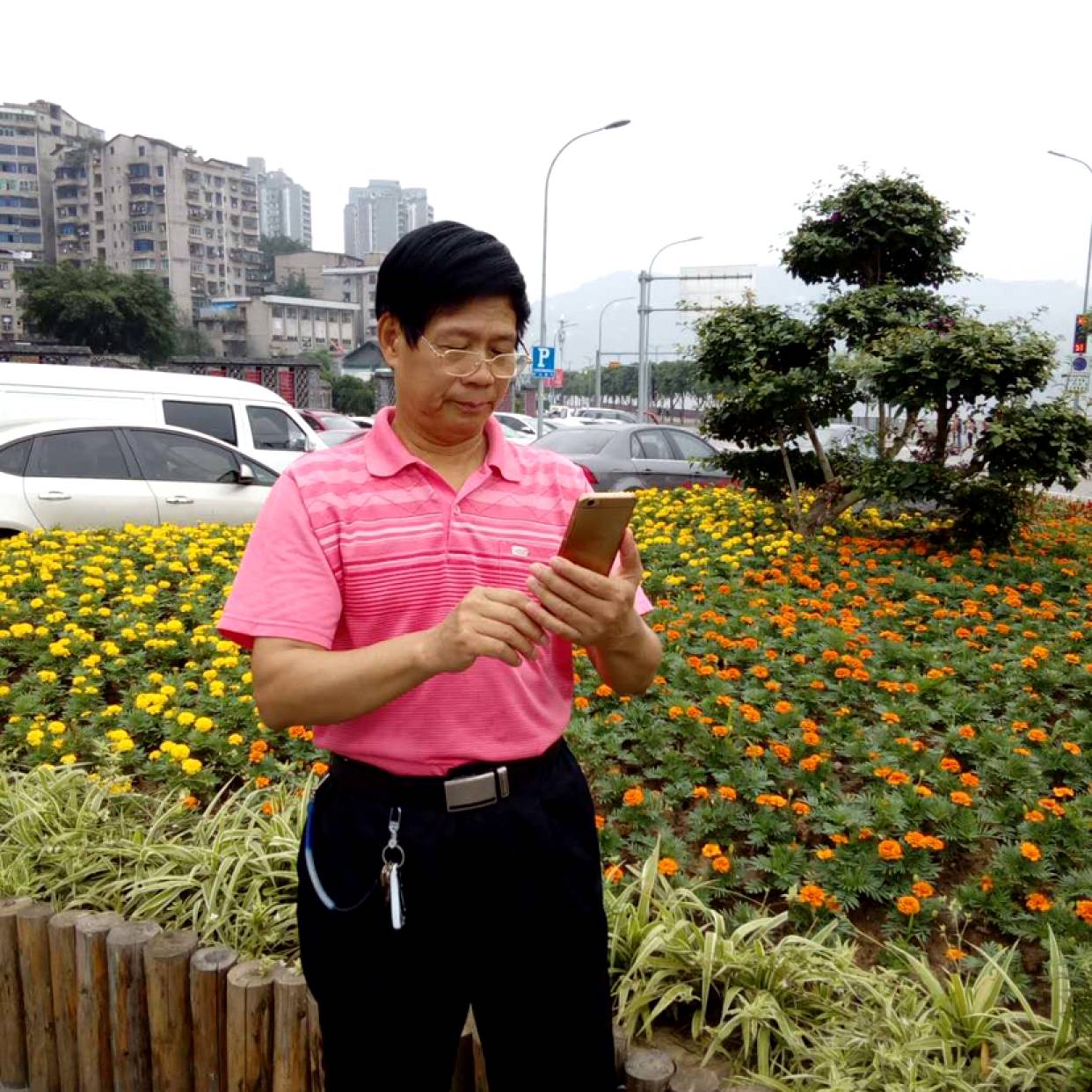 想人陪苦恋香菇的照片