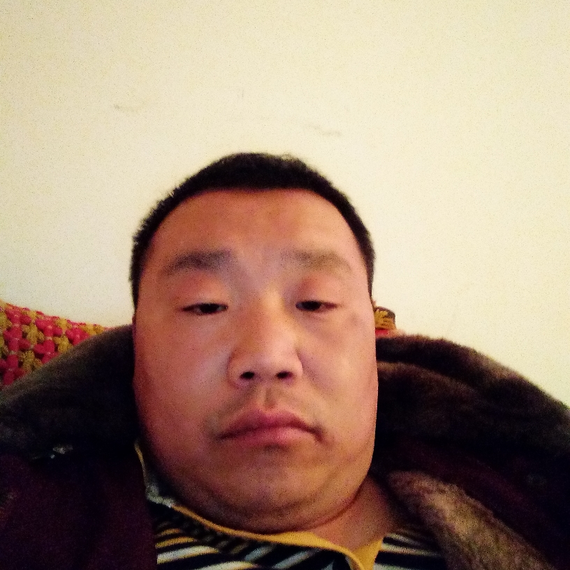 机灵改变小蜜蜂的照片
