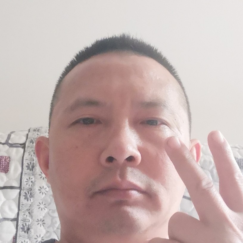 樱桃的沉静的照片
