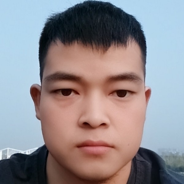 深情的玫瑰的照片