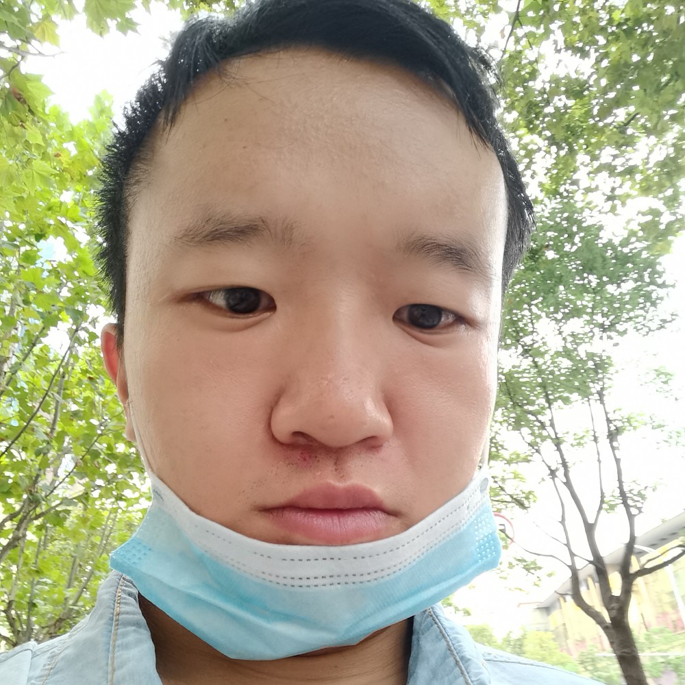 小懒猪的俭朴的照片