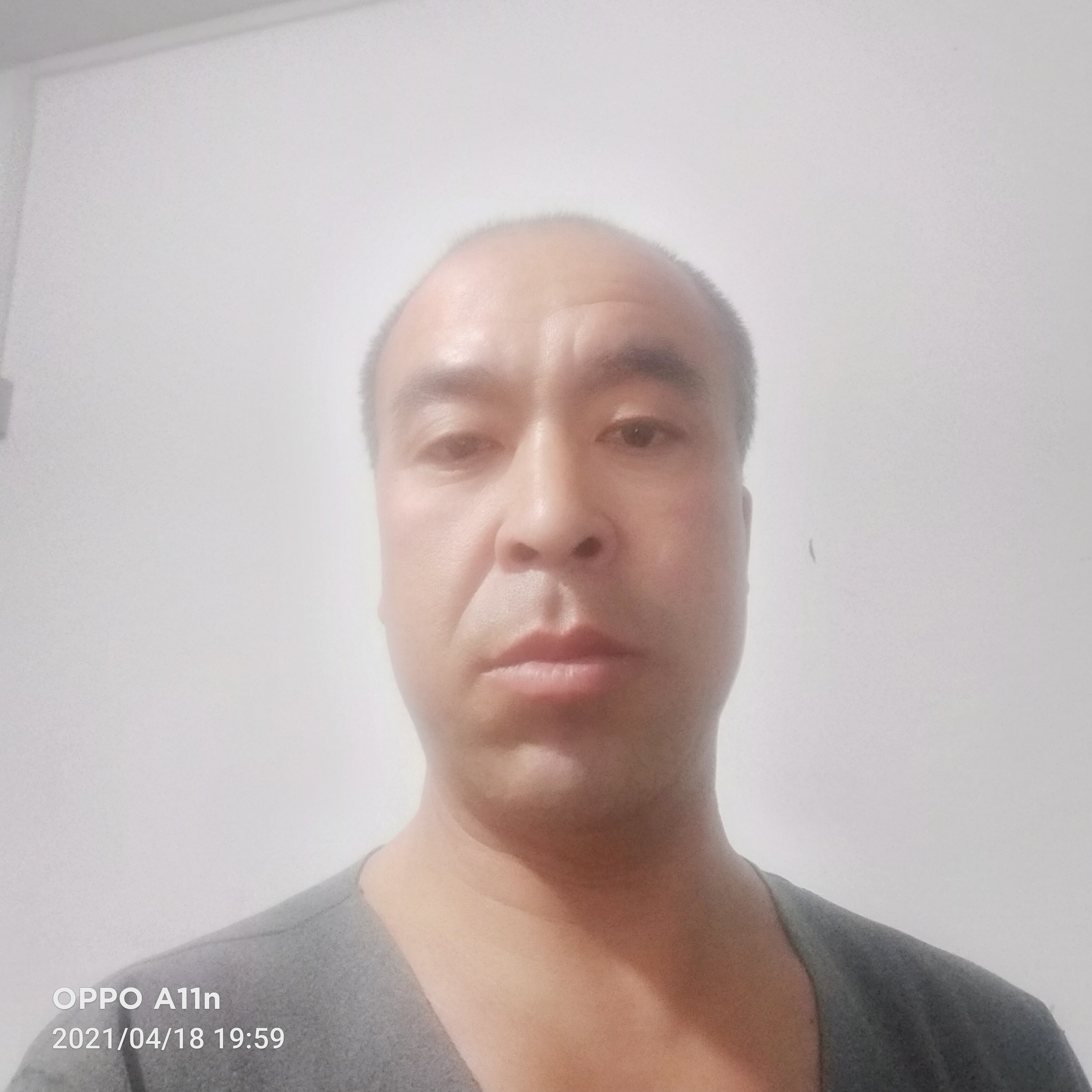 谨慎蹙眉猎豹的照片