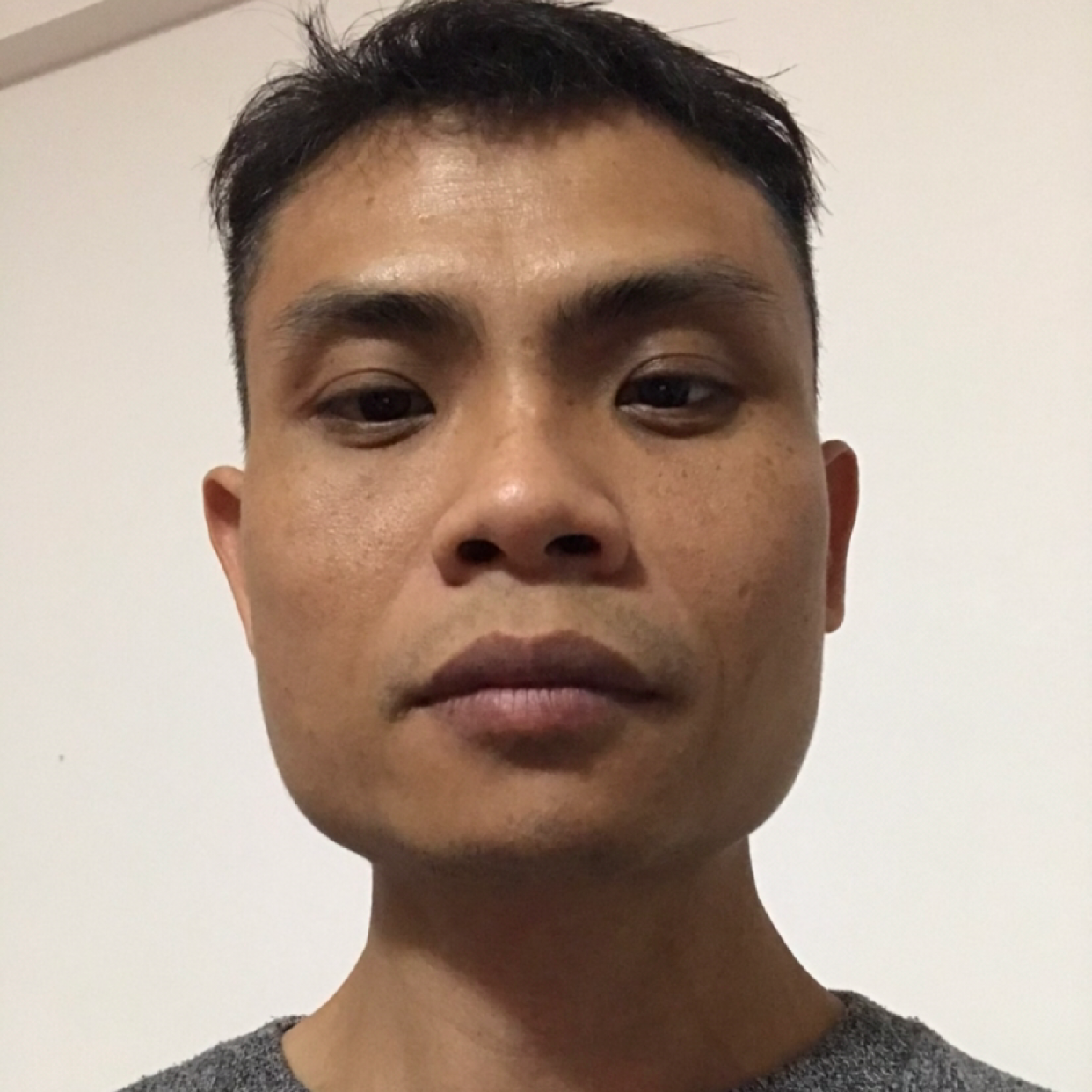 成熟大懒猪的照片