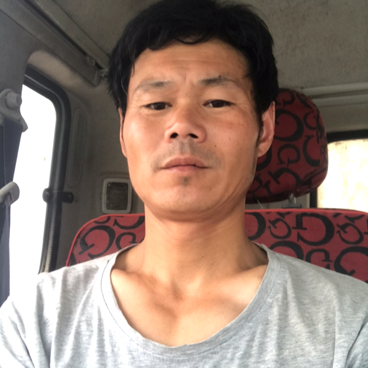 缓慢说向日葵的照片
