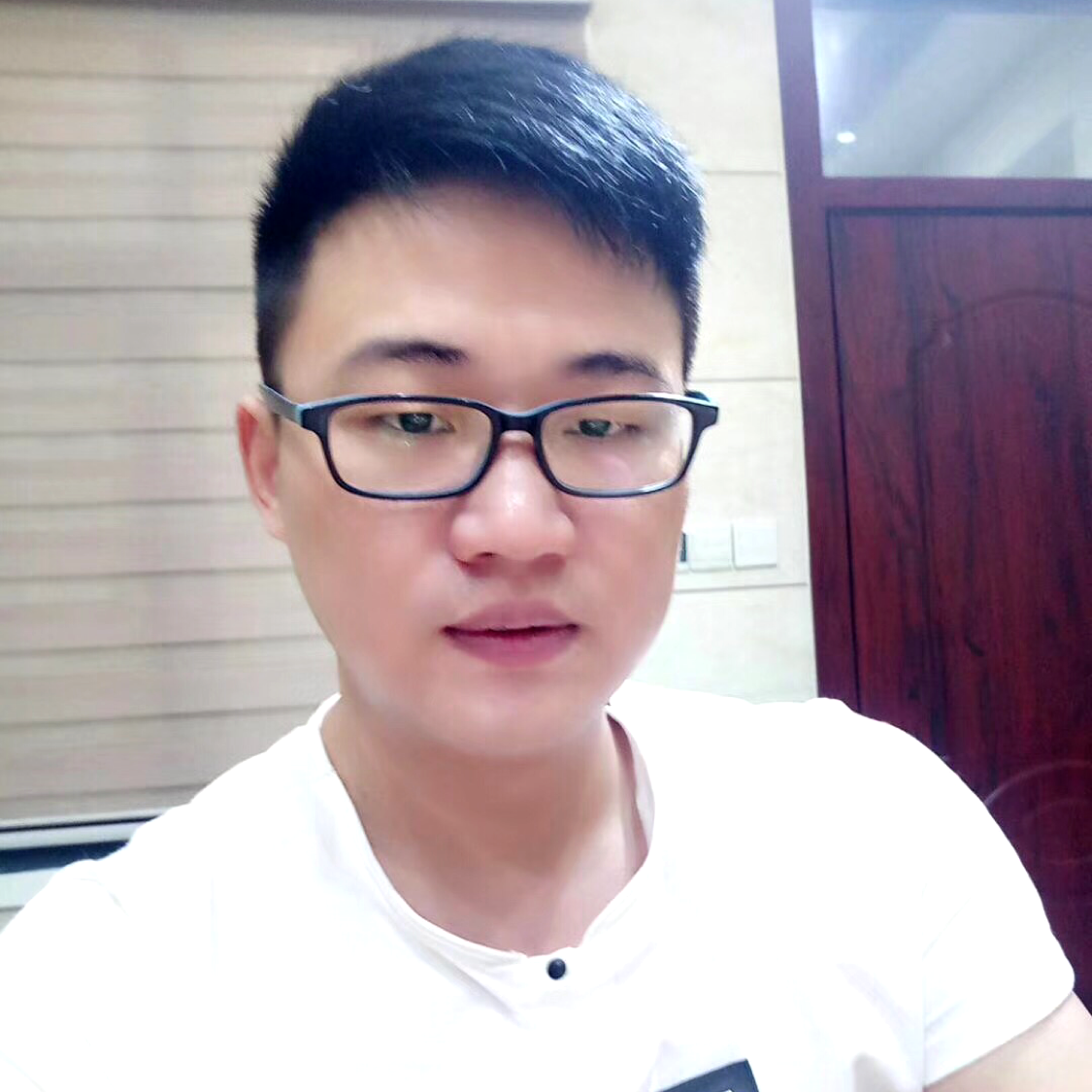 仙人掌辛勤的照片