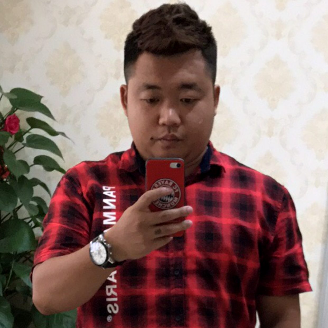 企鵝的照片