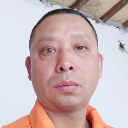 高空雄鹰的照片