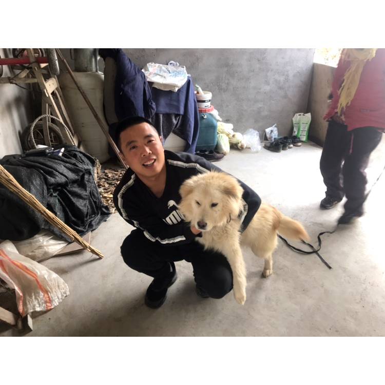 樱桃挽手彩色的照片