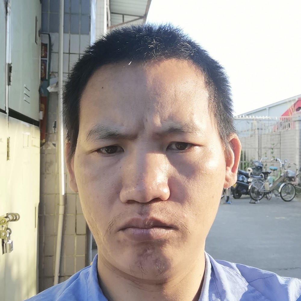 飞鸟打1辈子旳的照片