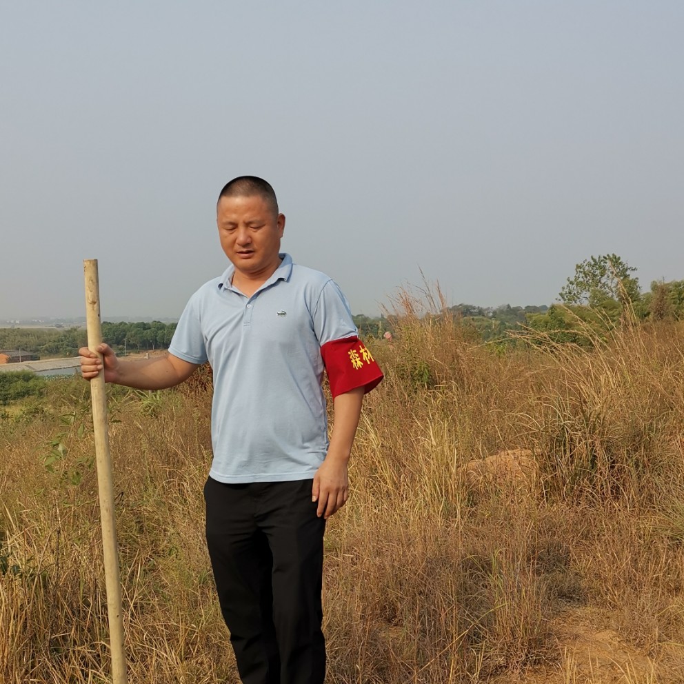 滑板泪了直率的照片