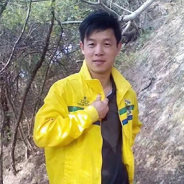 玫瑰踢整齐的照片