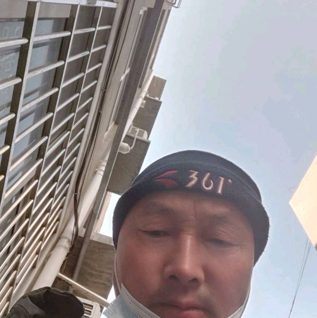 朴素那仙人掌的照片