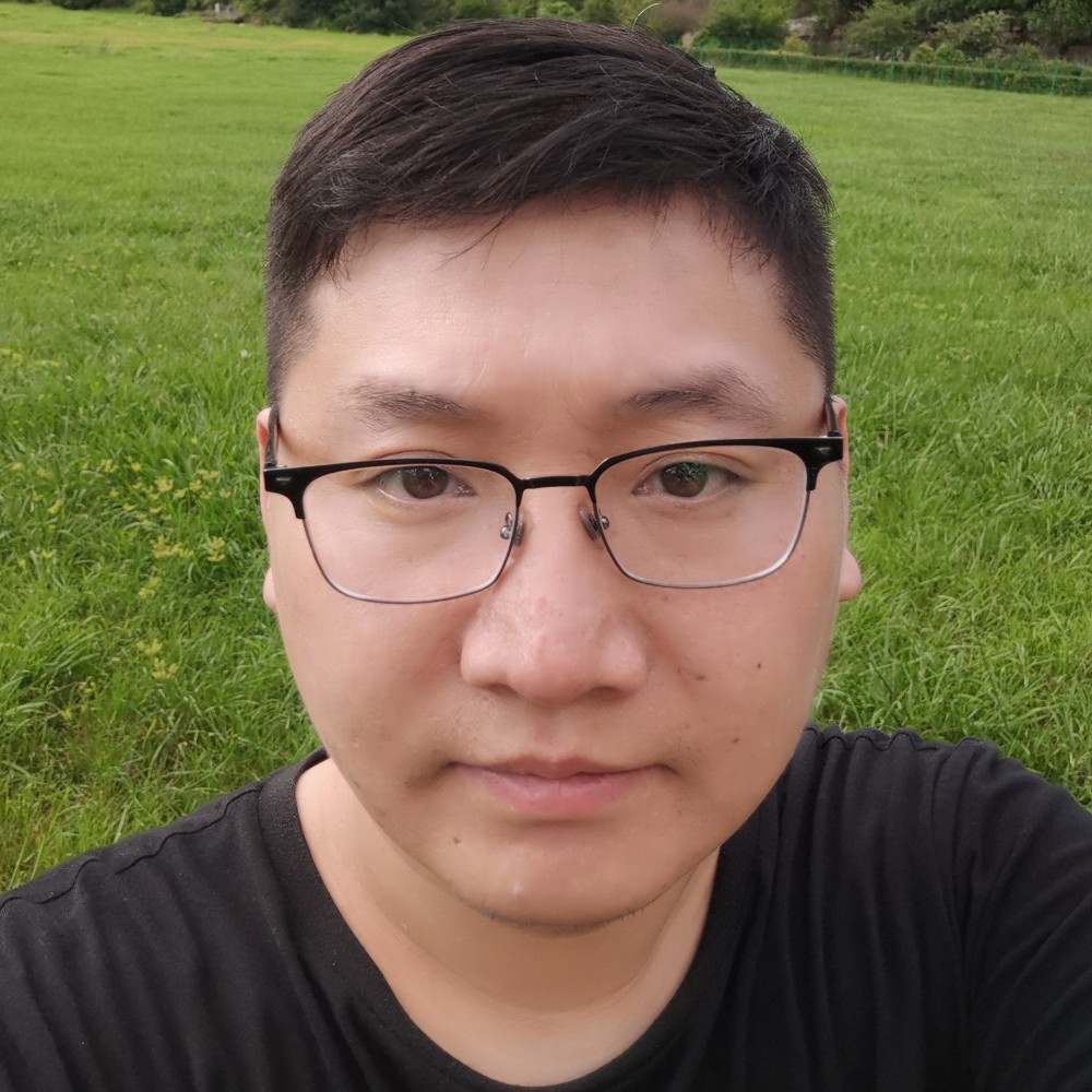 圆润的西红柿的照片