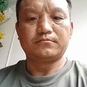 老百树的照片